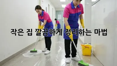 작은 집, 깔끔하게 정리하는 마법! ✨